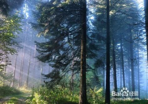 价值连城75个不传之密医院都不知的秘密（一）