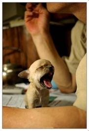 你是有强迫症的人吗