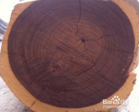 大叶紫檀与小叶紫檀的区别