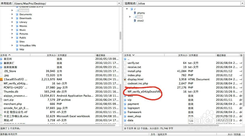最新网页授权域名填写方法