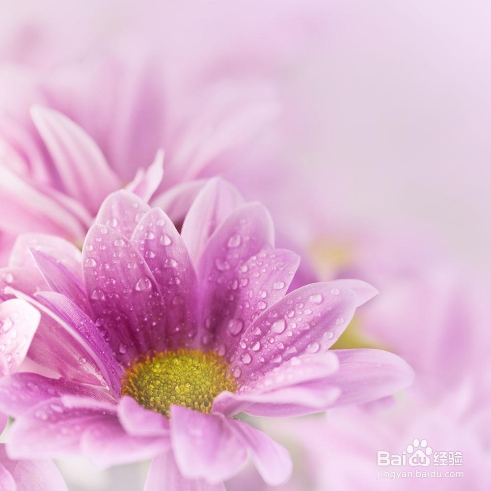 如何护理好自己的发质小贴士