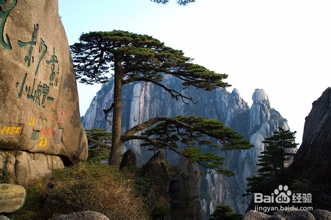 重阳登高,最适合全家出游的十大“至高点”