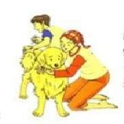 怎样给狗狗量体温