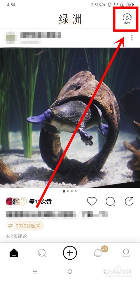 绿洲中怎么收取水滴和查看我的水滴总量