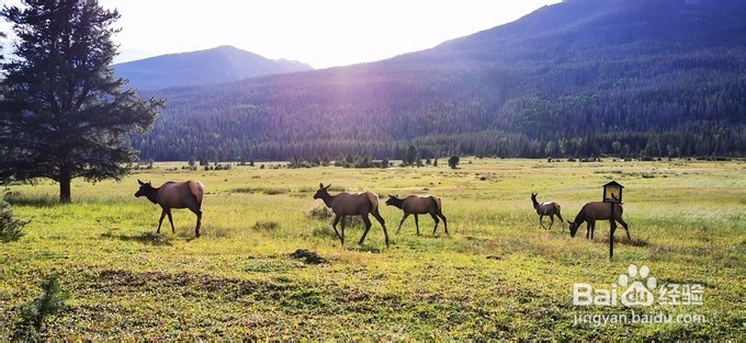 美国旅游攻略 车轮上的日子轻驾美西中的那些天