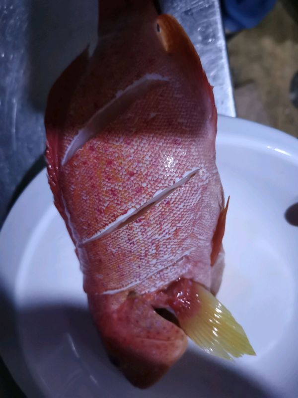 开水青菜东星斑