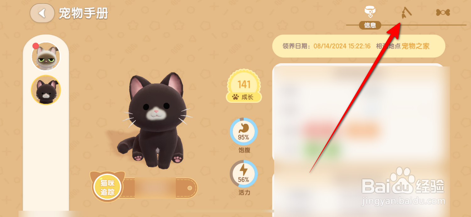 心动小镇怎么查看猫咪解锁的动作