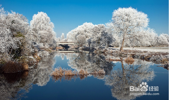 冬天流鼻血怎么回事