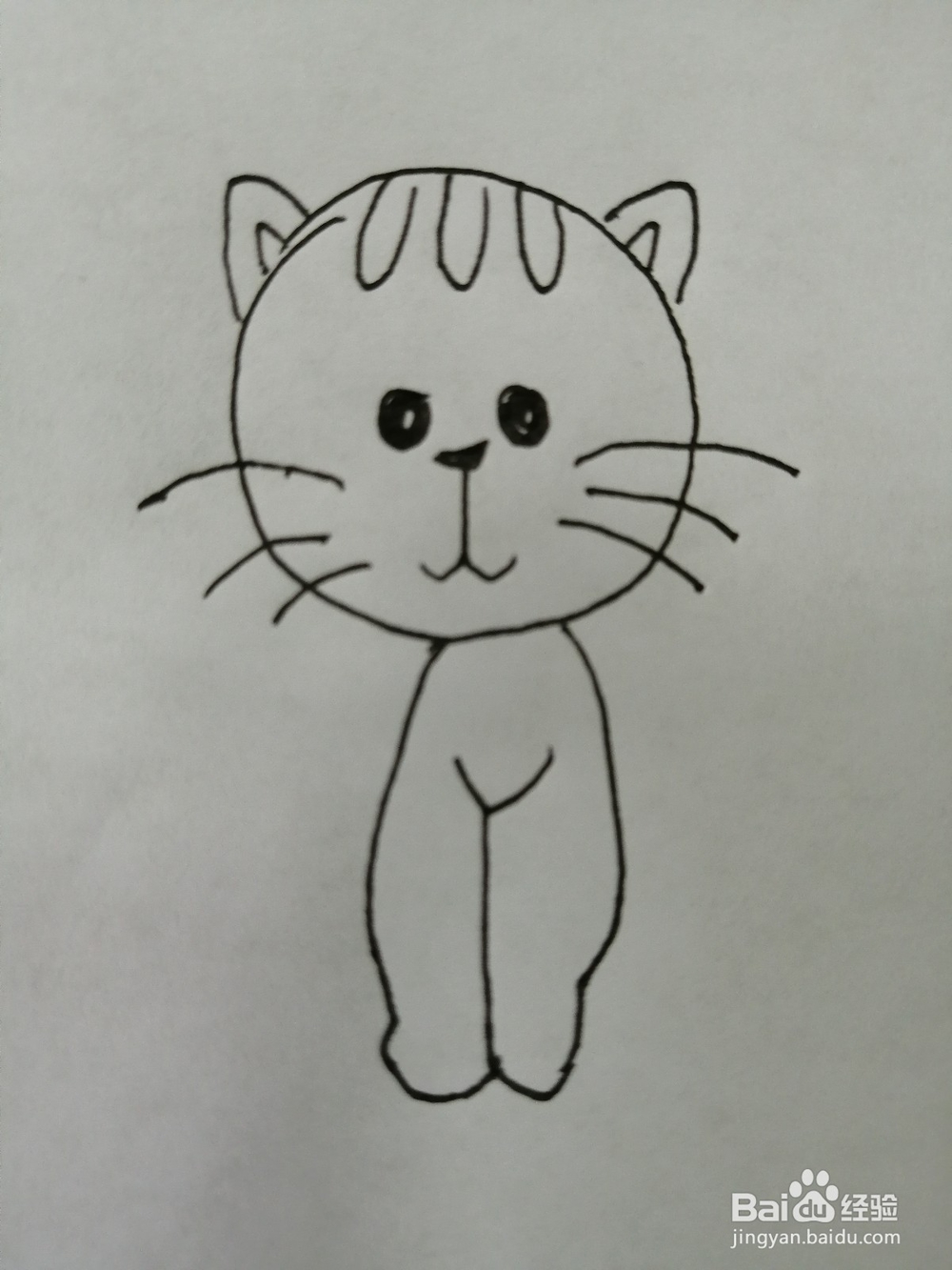 爱吃鱼的小猫咪怎么画