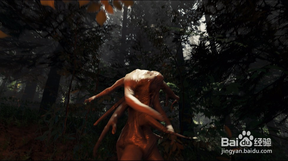 迷失森林怎么刷东西