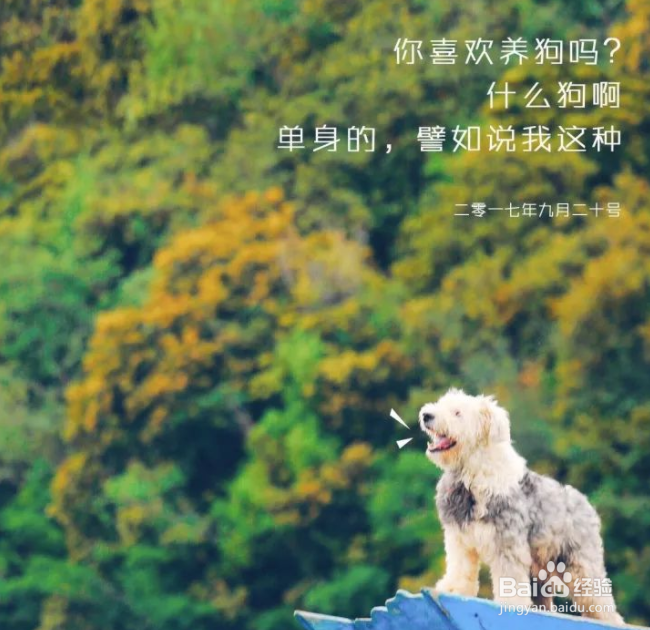 如何说,才能打动人心?