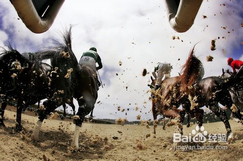 教你更好的捕捉移动物体