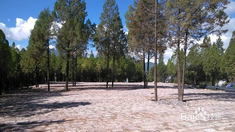 云南哪些地方好玩：[3]云南第三天-丽江