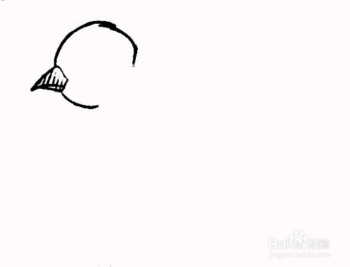 燕子的简笔画