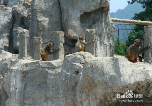北京八达岭长城旅游攻略