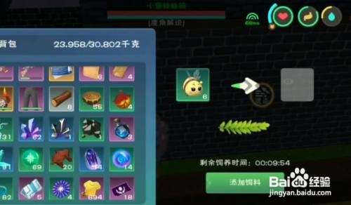 创造与魔法小蜜蜂获得最全攻略大全