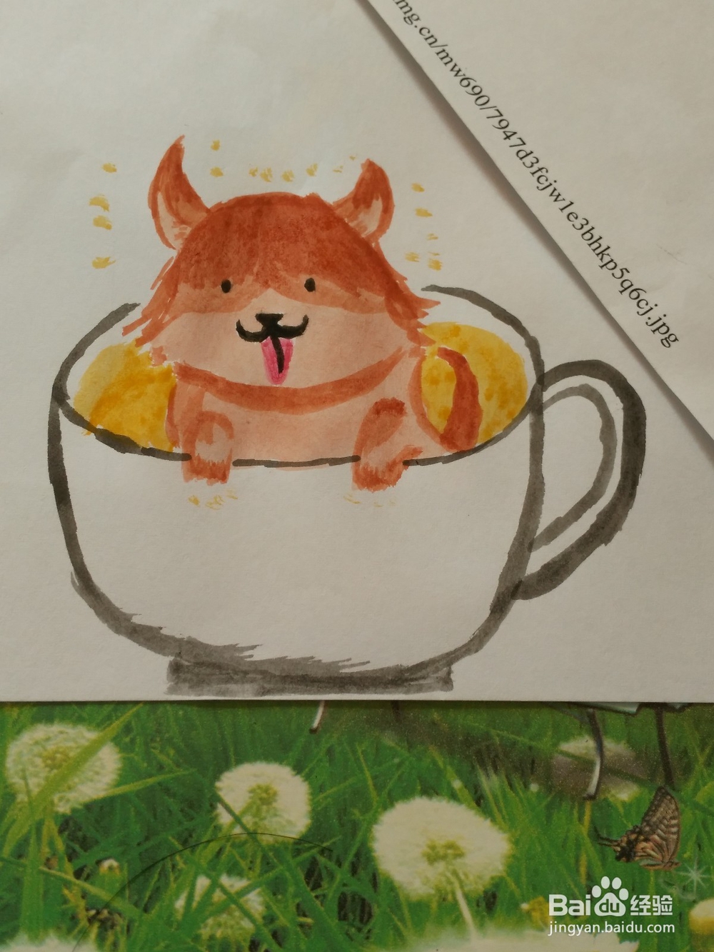 <b>茶杯 柯基犬 如何用水粉画画出来！</b>