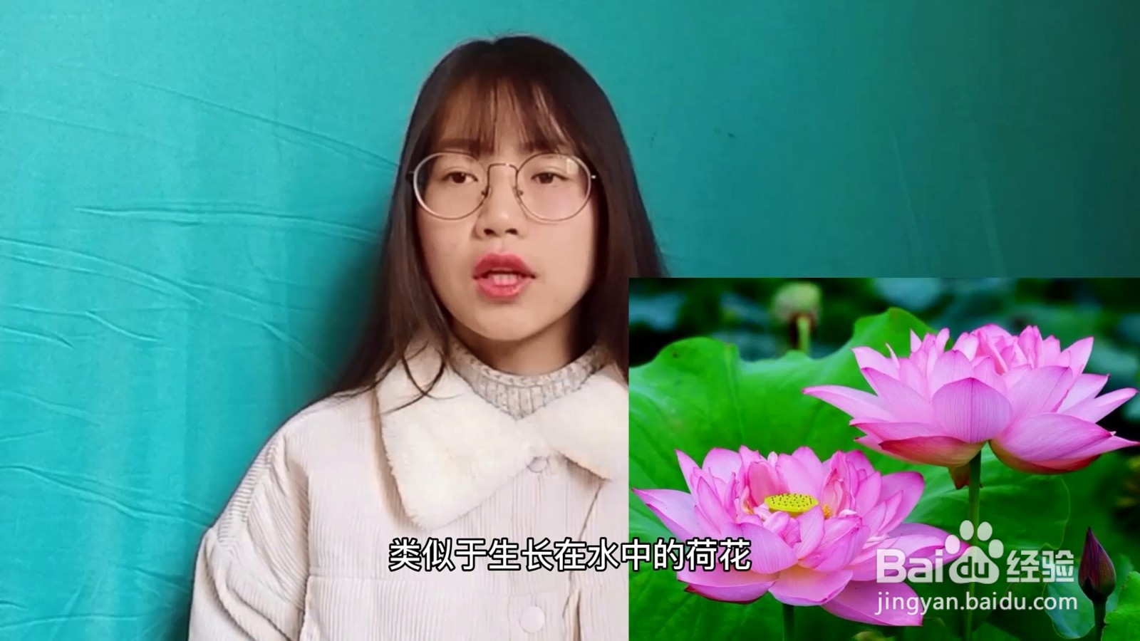 植物传播种子的方法