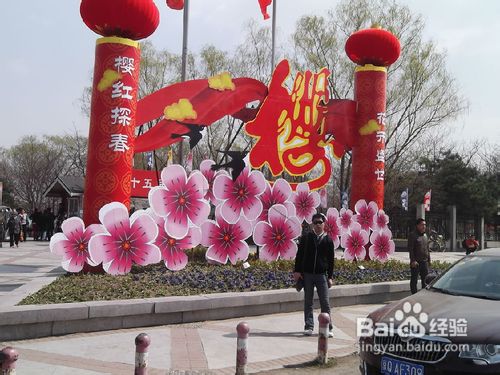 北京玉渊潭公园樱花节游记