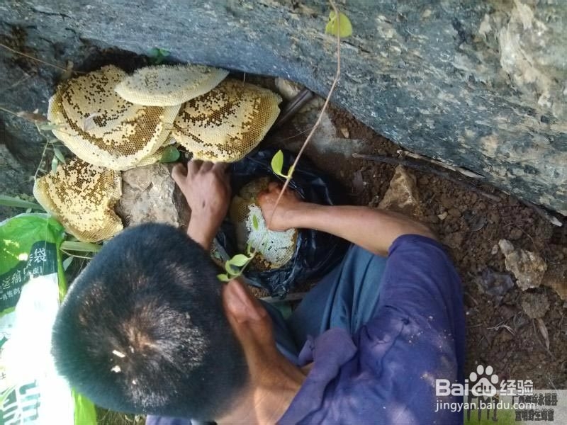 纯天然蜂蜜价格