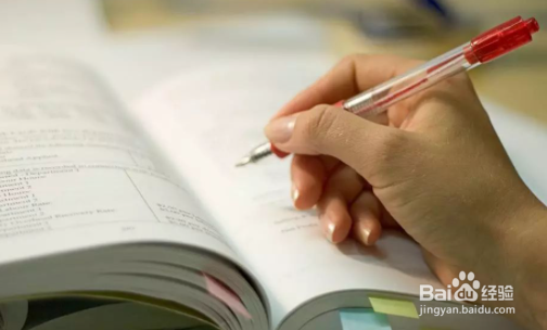 个人经历该怎么写