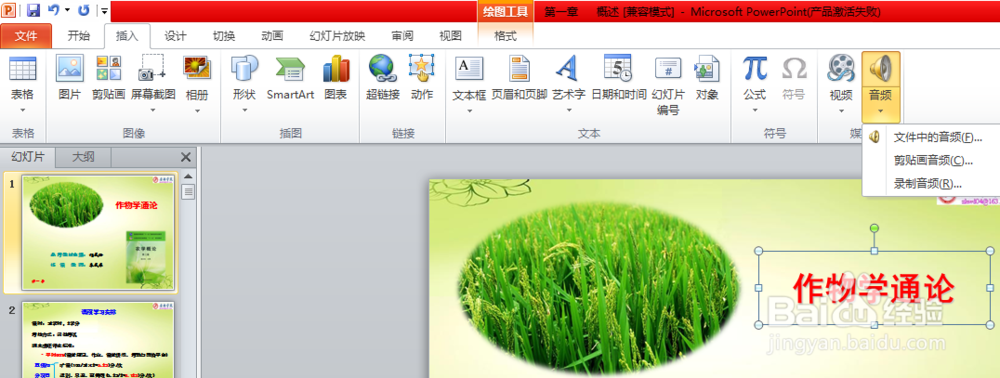 怎么给ppt插入全篇播放的音频？