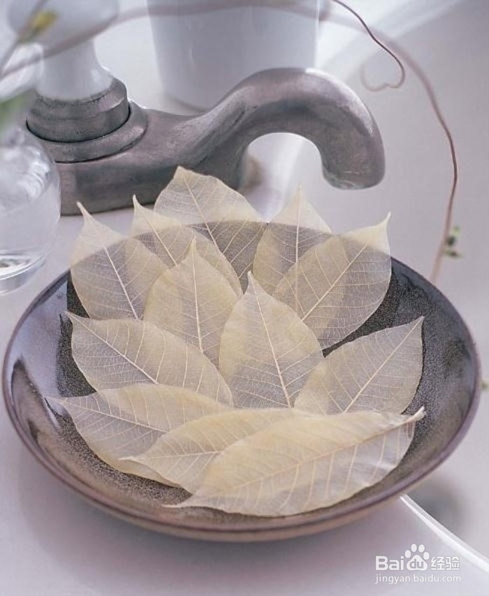 如何制作彩色透明树叶？