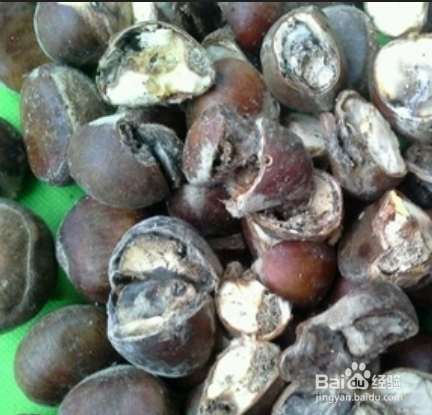 怎么预防食物中毒，食物中毒症状，食物中毒