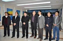 见习期工作总结怎么写