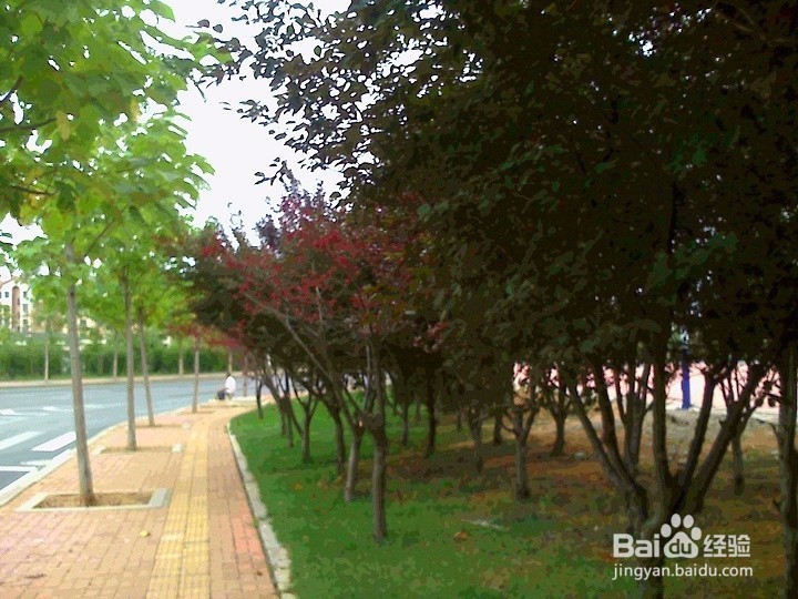 人外出怎样安全行走