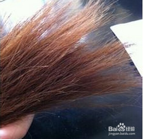 发质不好怎么办？头发问题怎么解决？