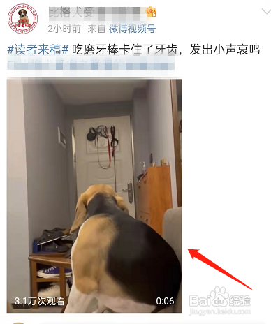 微博小视频怎么清屏