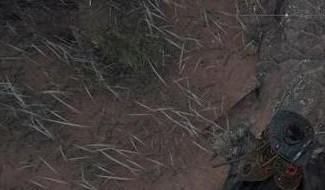 艾尔登法环野兽神庙隐藏小道路线攻略