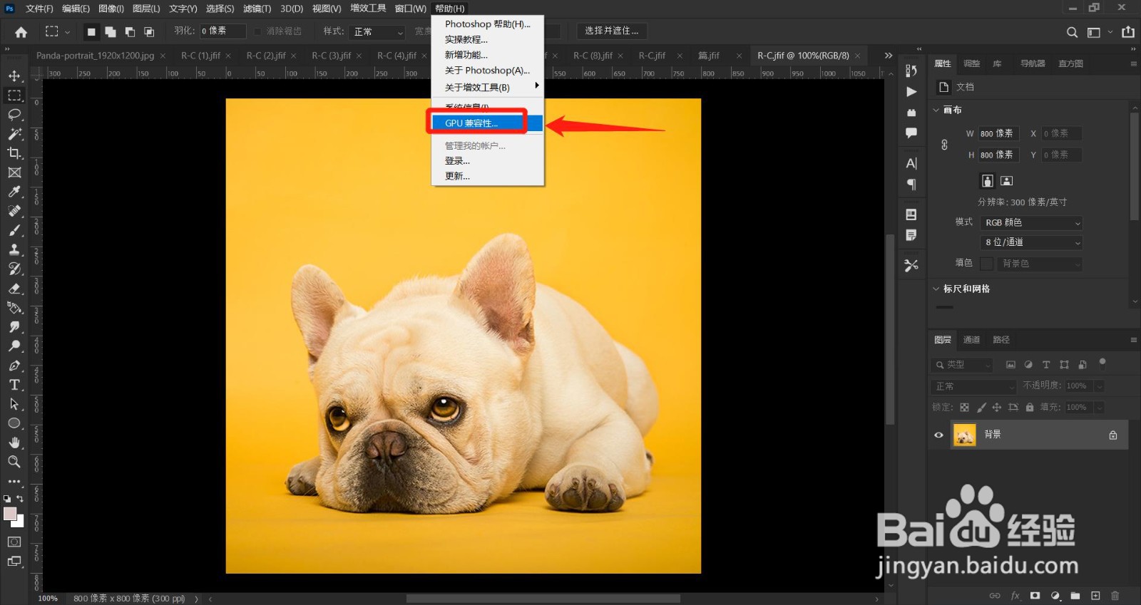 PS(Photoshop2022)如何查看处理器兼容性