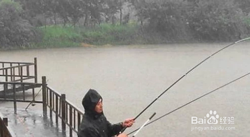下雨天钓鱼有什么需要注意的地方