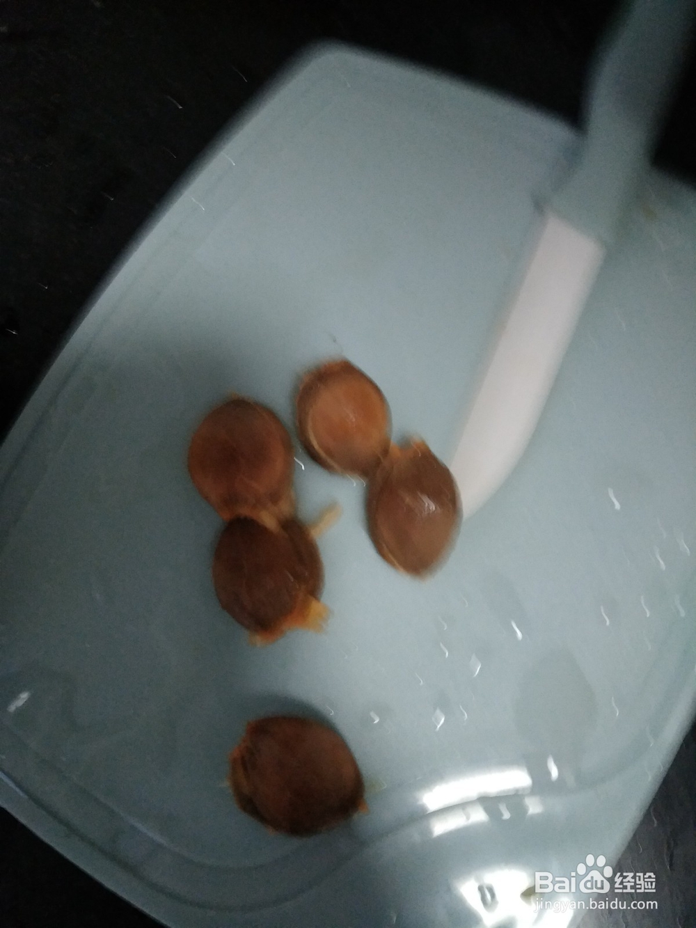 黄杏的去核方法