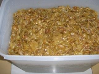 土方法制葡萄酒