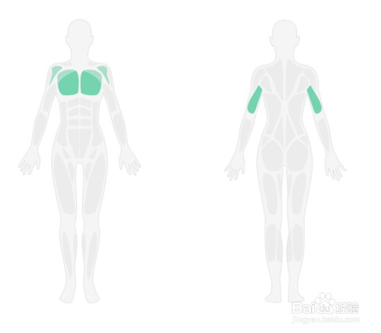 弹力绳胸部训练
