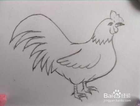 公鸡画法教程(1)亲子简笔画,怎么画公鸡