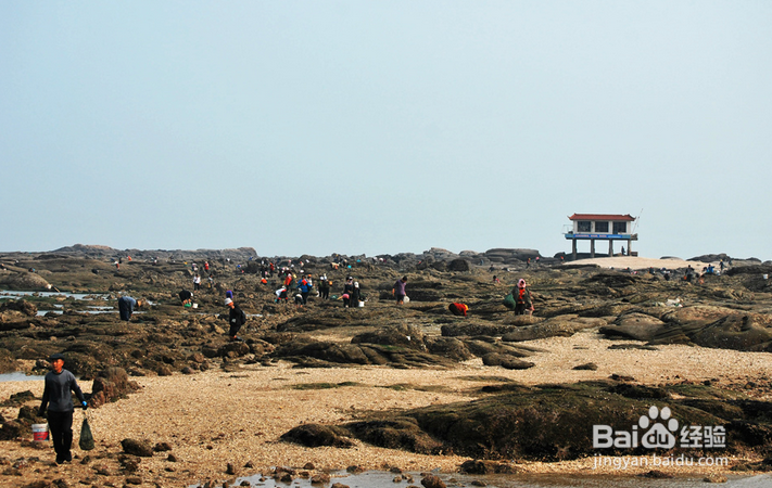 日照赶海好去处-日照旅游攻略
