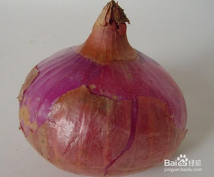 怎样切洋葱不会流眼泪