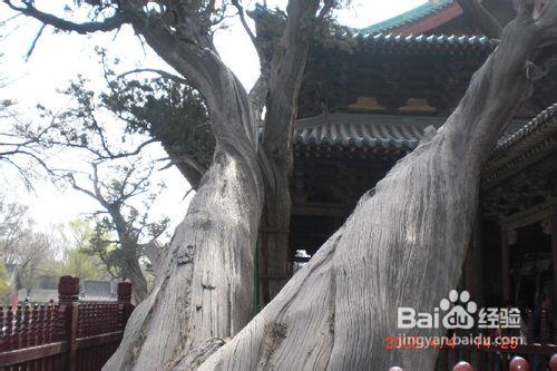 太原晋祠公园 l 旅游攻略