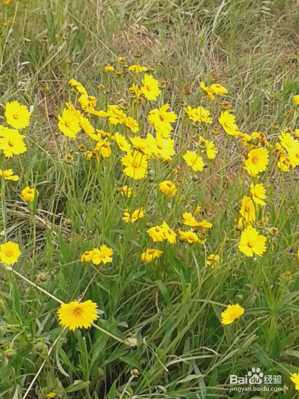 长岛自由行攻略