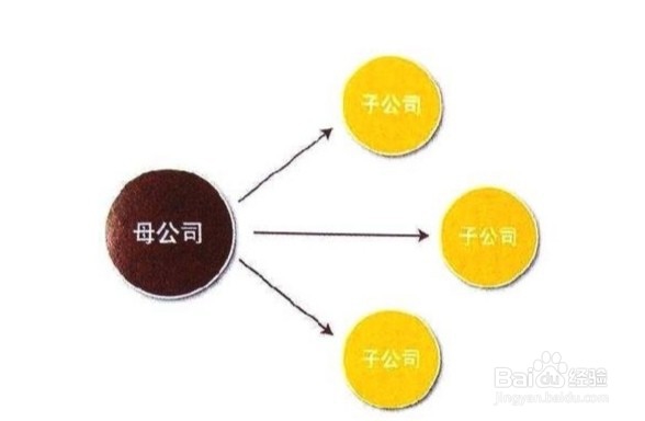 子公司和分公司的区别
