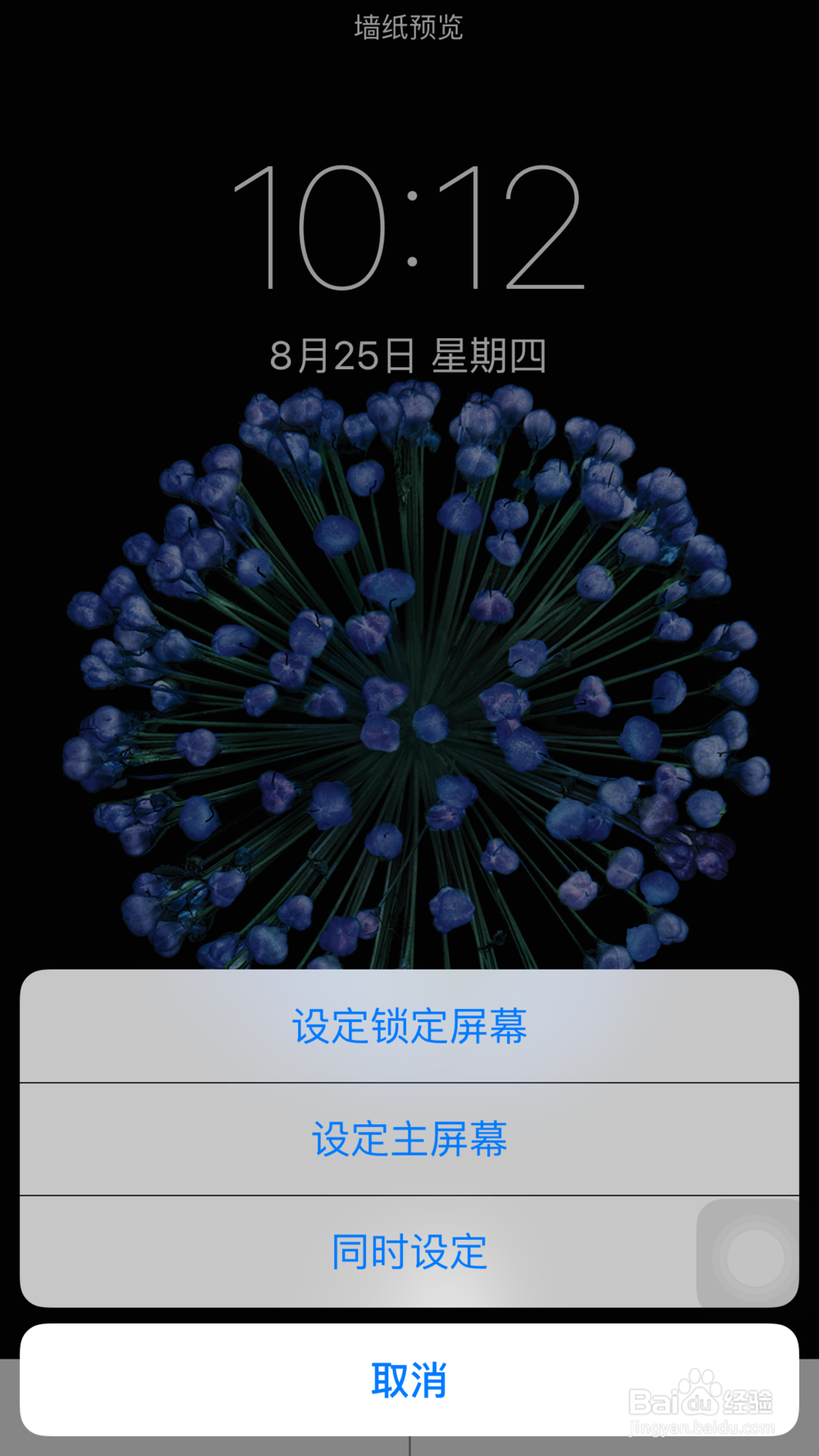 苹果6P如何设置桌面壁纸