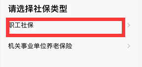 如何查询失业保险的个人缴费信息