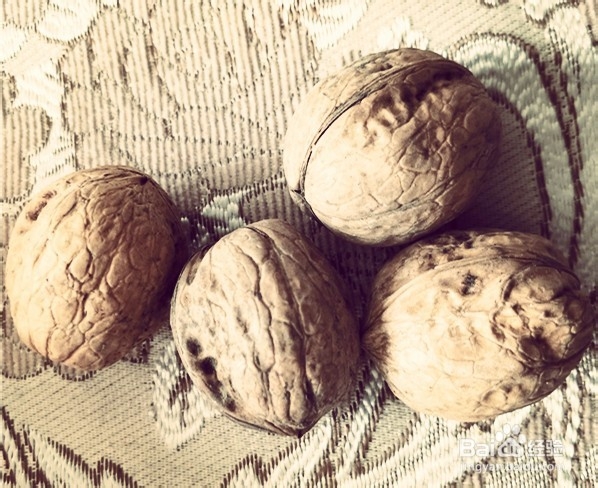 核桃钳子如何轻松快速的打开核桃