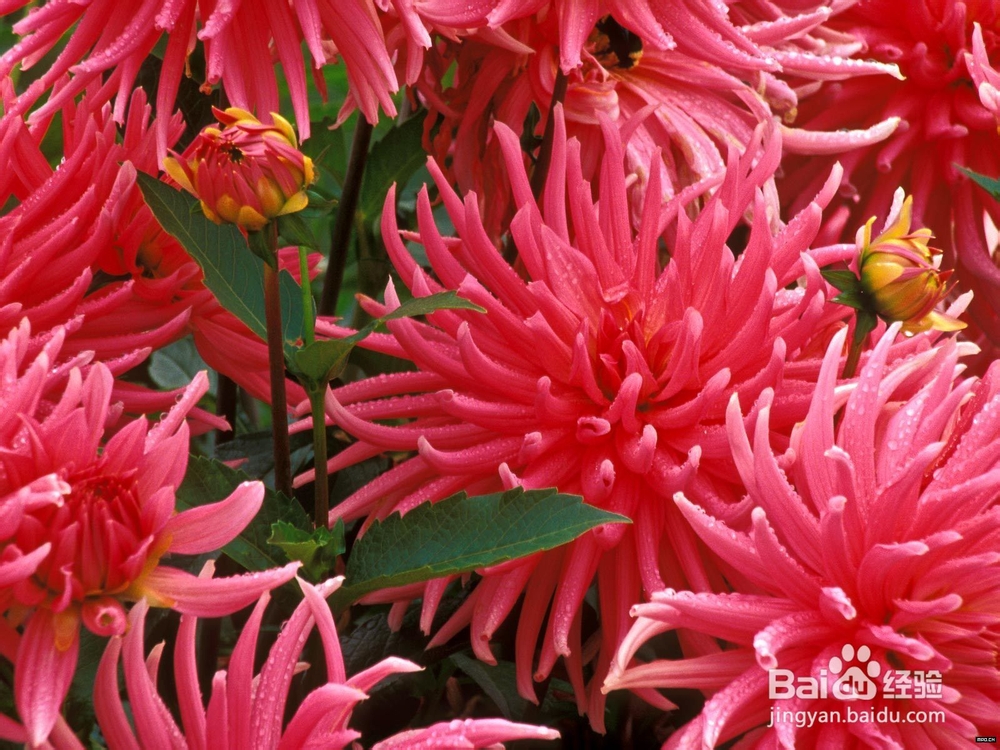 高一家长：家长应该处理好“三大关系”