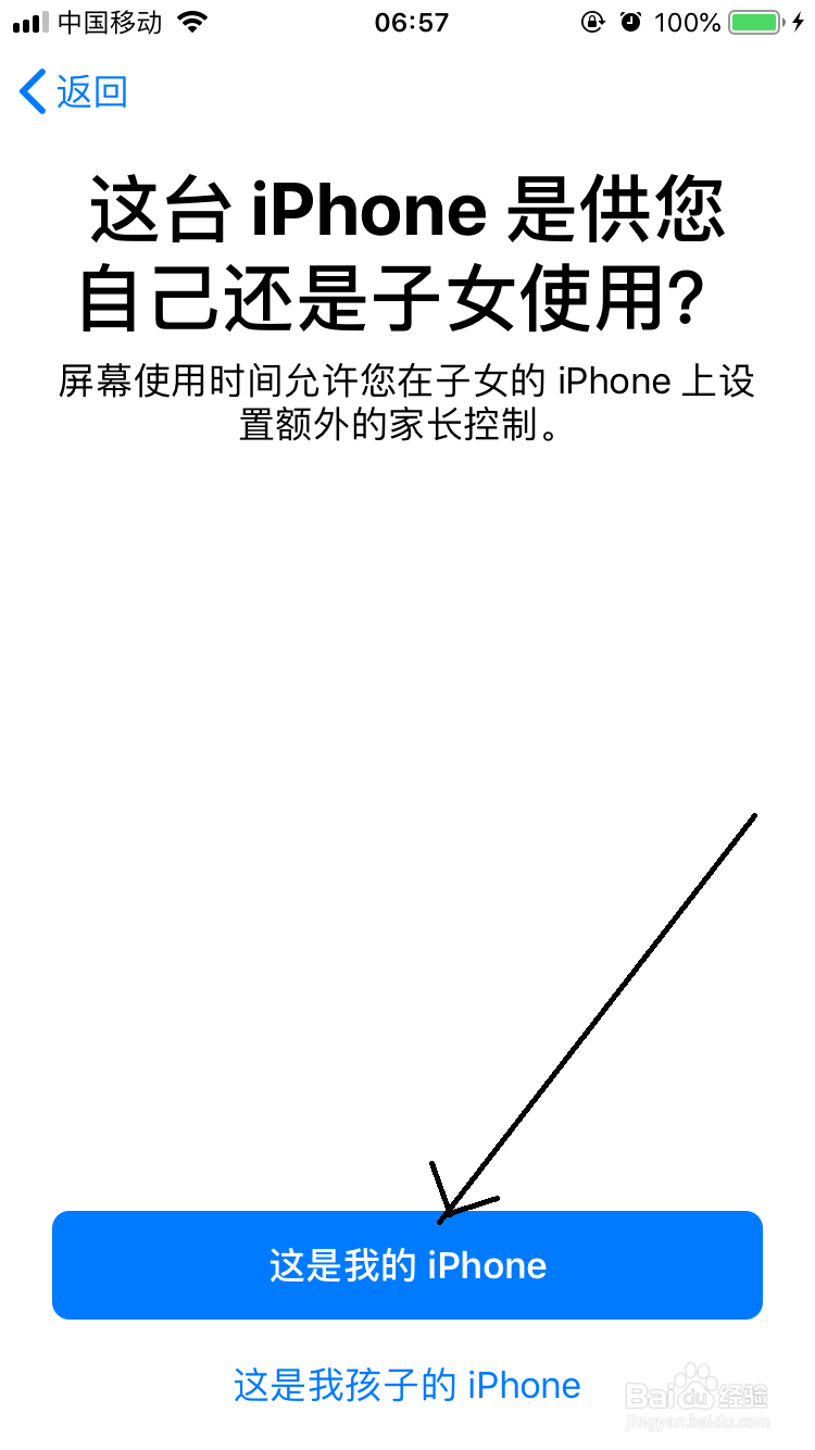 iphone预览网页如何设置成只允许打开的页面