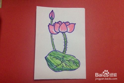 儿童画怎样画荷花的画法幼儿简单绘画莲花 百度经验